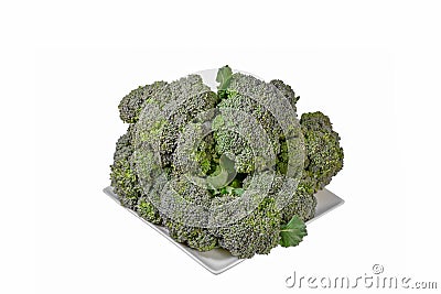 Broccoli isolated on white background Stock Photo